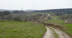 341_TZ60_P1100050_cr