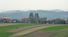 382_TZ60_P1100090_cr