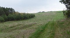 393_TZ60_P1100106_cr