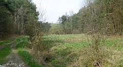 399_TZ60_P1100107_cr