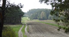 408_TZ60_P1100114_cr