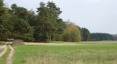 410_TZ60_P1100116_cr