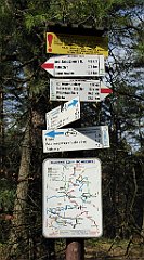 426_TZ60_P1100134_cr