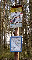 427_TZ60_P1100135_cr