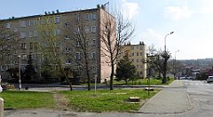 446_TZ60_P1100154_cr