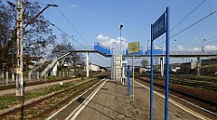 455_TZ60_P1100163_cr