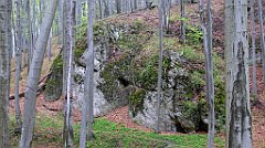 014_TZ60_P1100175_cr