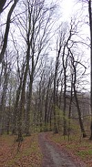 027_TZ60_P1100182_cr