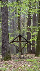 036_TZ60_P1100190_cr