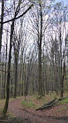 040_TZ60_P1100194_cr