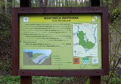 051a_TZ60_P1100208_cr