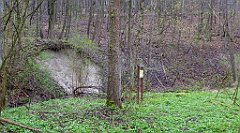 052_TZ60_P1100206_cr