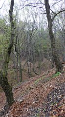 064_TZ60_P1100215_cr