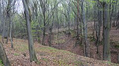 072_TZ60_P1100220_cr