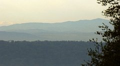 087_TZ60_P1100249_cr