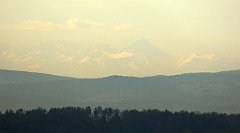 088_TZ60_P1100250_cr