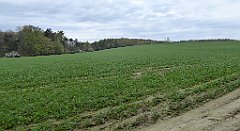 103_TZ60_P1100265_cr