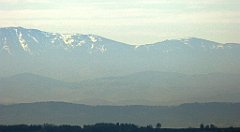 114_TZ60_P1100286_cr