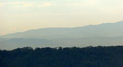 117_TZ60_P1100291_cr