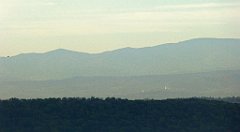 118_TZ60_P1100293_cr