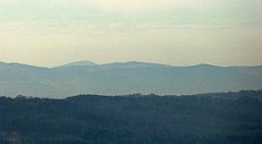 127_TZ60_P1100304_cr