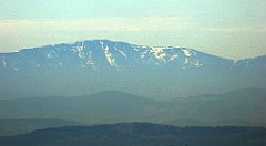 133_TZ60_P1100310_cr