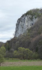 182_TZ60_P1100337_cr