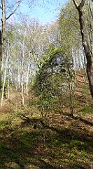 202_TZ60_P1100351_cr