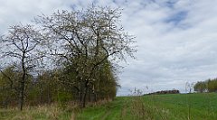 214_TZ60_P1100359_cr