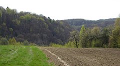 222_TZ60_P1100367_cr