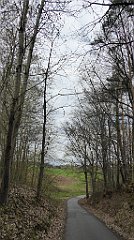 231_TZ60_P1100384_cr