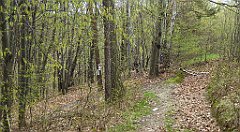 261_TZ60_P1100411_cr