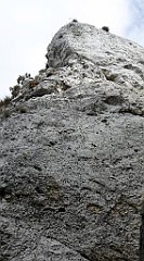 274_TZ60_P1100421_cr