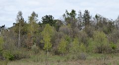 286_TZ60_P1100435_cr