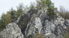 307_TZ60_P1100457_cr