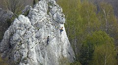 332_TZ60_P1100484_cr