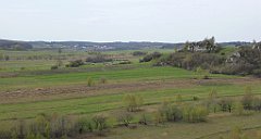 340_TZ60_P1100497_cr