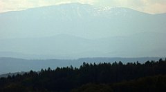 344_TZ60_P1100503_cr