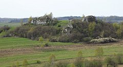 347_TZ60_P1100506_cr