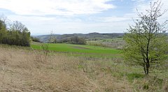 348_TZ60_P1100507_cr