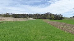 349a_TZ60_P1100511_cr