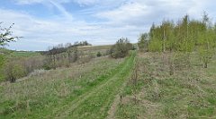 356_TZ60_P1100515_cr