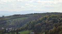 359_TZ60_P1100518_cr