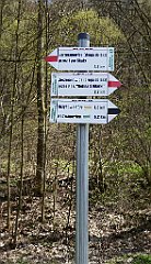 376_TZ60_P1100532_cr