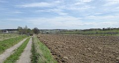 387_TZ60_P1100537_cr