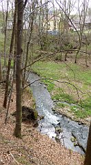 423_TZ60_P1100554_cr