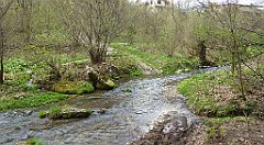 428_TZ60_P1100555_cr