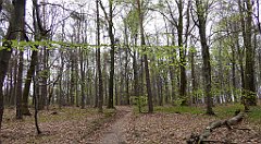 459_TZ60_P1100576_cr