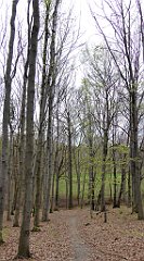 461_TZ60_P1100577_cr