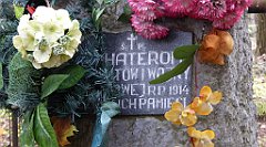 490_TZ60_P1100595_cr